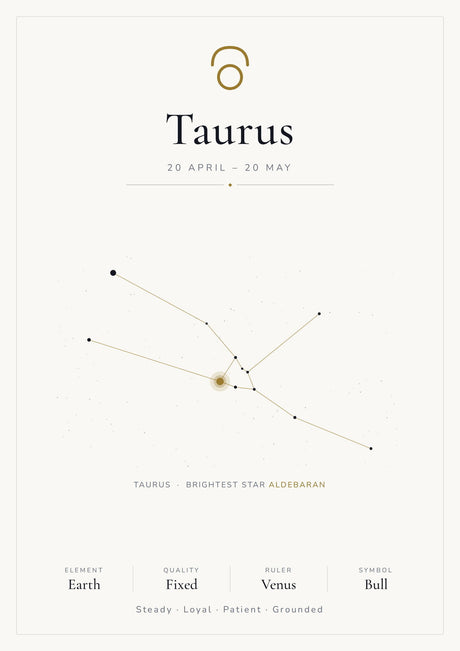 12-Pack Zodiac Constellations Educational Posters Set - White A4 Matte Laminated Prints (210x297mm)