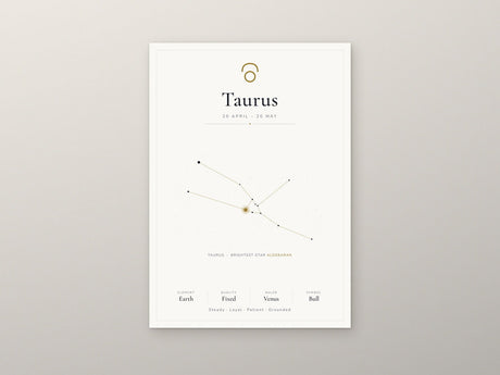 12-Pack Zodiac Constellations Educational Posters Set - White A4 Matte Laminated Prints (210x297mm)