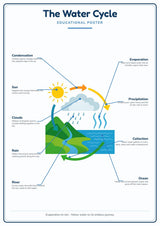 The Water Cycle: A4 Matte Laminated Educational Poster Print - 210x297mm