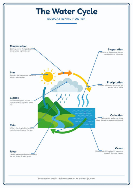 4-Pack Weather & the Water Cycle Educational Posters Set - A4 Matte Laminated Prints (210x297mm)