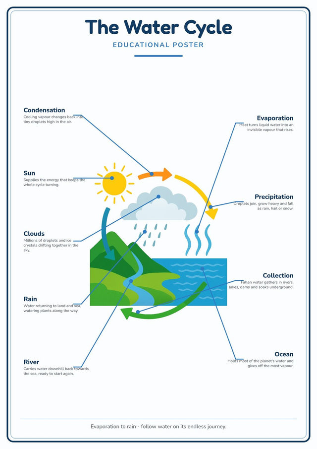 The Water Cycle: A4 Matte Laminated Educational Poster Print - 210x297mm