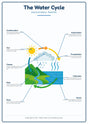 The Water Cycle: A4 Matte Laminated Educational Poster Print - 210x297mm