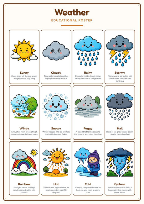 4-Pack Weather & the Water Cycle Educational Posters Set - A4 Matte Laminated Prints (210x297mm)
