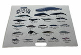 Types of Whales: A4 Matte Laminated Educational Poster Print - 210x297mm