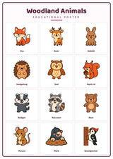 Woodland Animals: A4 Matte Laminated Educational Poster Print - 210x297mm