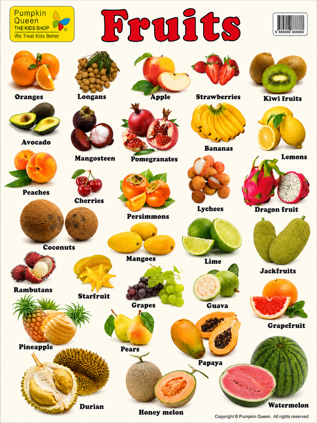 Large "Fruits" Educational Poster - 73x52cm Size - Portrait (Printed by Pumpkin Queen)
