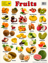 Large "Fruits" Educational Poster - 73x52cm Size - Portrait (Printed by Pumpkin Queen)