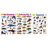 3-Pack Large "Creatures of Nature" Educational Posters - 73x52cm (Printed by Pumpkin Queen)