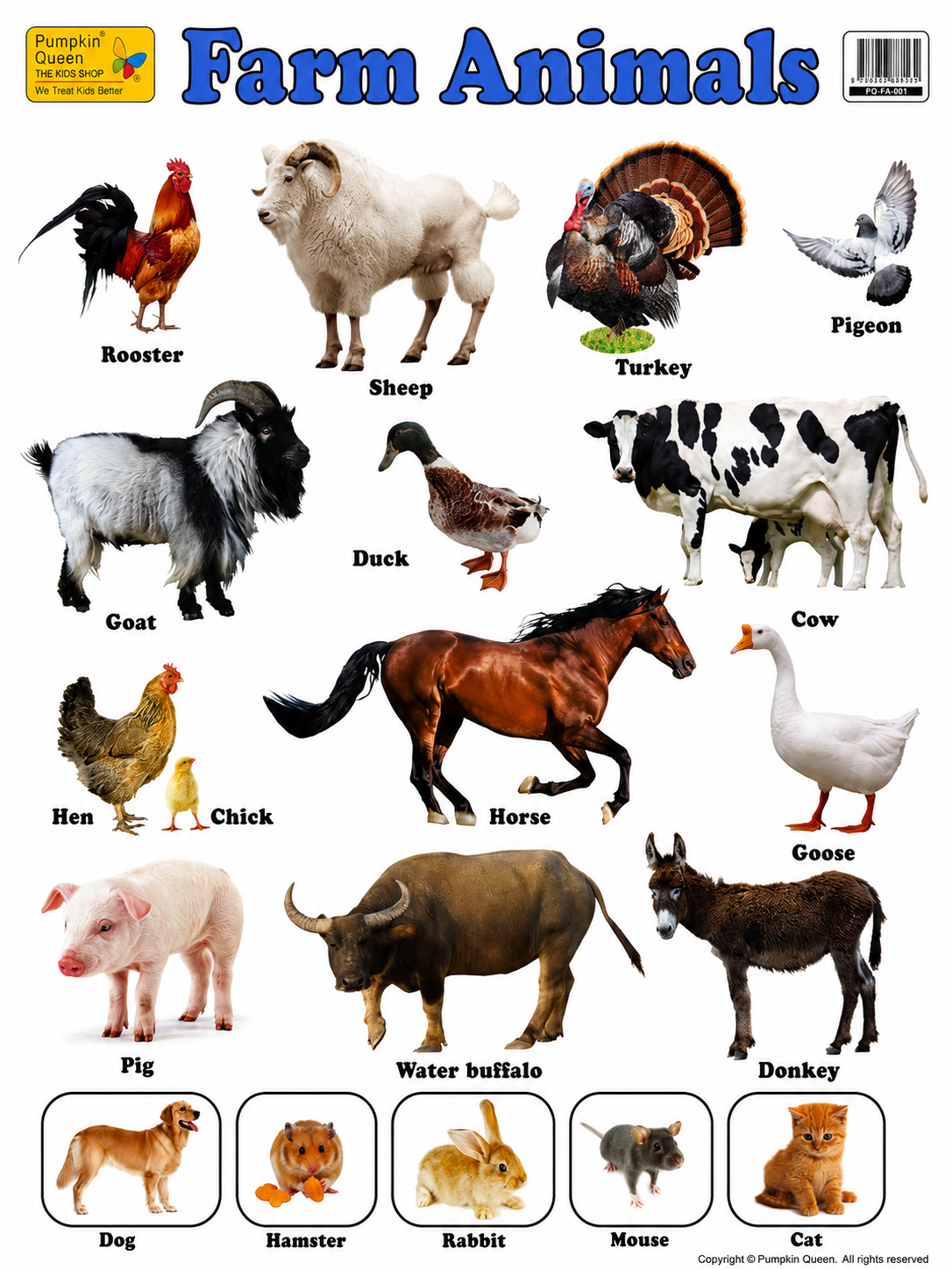 Large "Farm Animals" Educational Poster - 73x52cm Size - Portrait (Printed by Pumpkin Queen)