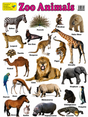 Large "Zoo Animals" Educational Poster - 73x52cm Size - Portrait (Printed by Pumpkin Queen)