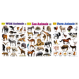 3-Pack Large "Animals of the World" Educational Posters - 73x52cm (Printed by Pumpkin Queen)