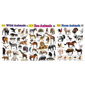 3-Pack Large "Animals of the World" Educational Posters - 73x52cm (Printed by Pumpkin Queen)