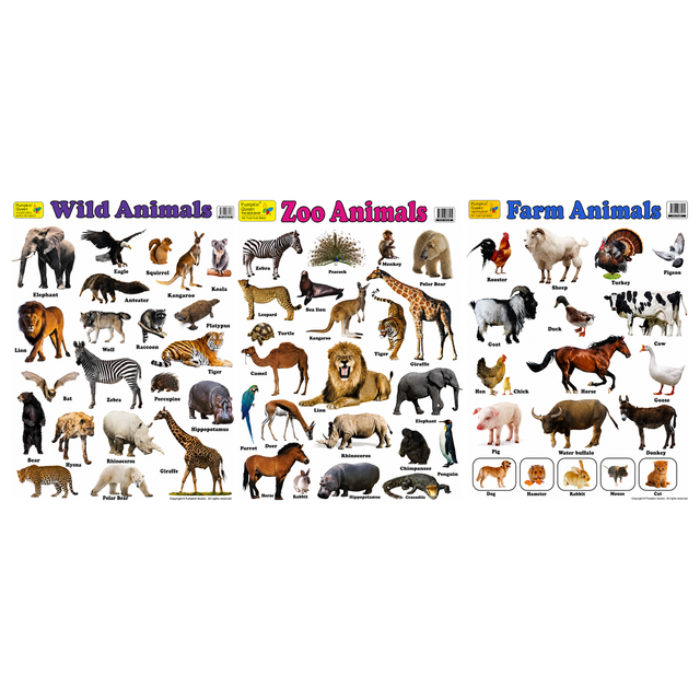 3-Pack Large "Animals of the World" Educational Posters - 73x52cm (Printed by Pumpkin Queen)