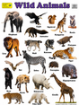 Large "Wild Animals" Educational Poster - 73x52cm Size - Portrait (Printed by Pumpkin Queen)