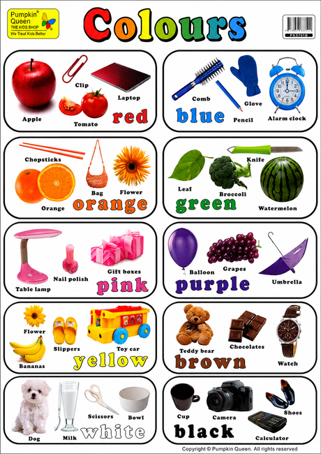 4-Pack Large "Kindergarten Ready" Educational Posters - 73x52cm (Printed by Pumpkin Queen)