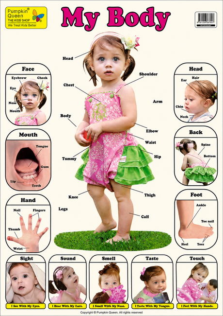 3-Pack Large "Early Learning" Educational Posters - 73x52cm (Printed by Pumpkin Queen)