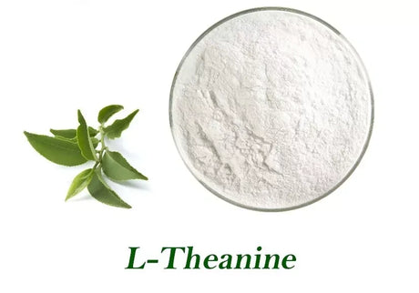 200g Pure Lean Nutrition L-Theanine Powder Bulk Pack - Pure (Calm Sleep Relaxation Stress Support Supplement)