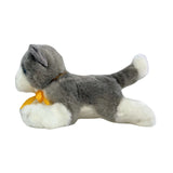 Bocchetta Leila 22cm Floppy Norwegian Forest Kitten Plush Toy - Grey/White (Realistic Stuffed Animal Cat Gift)