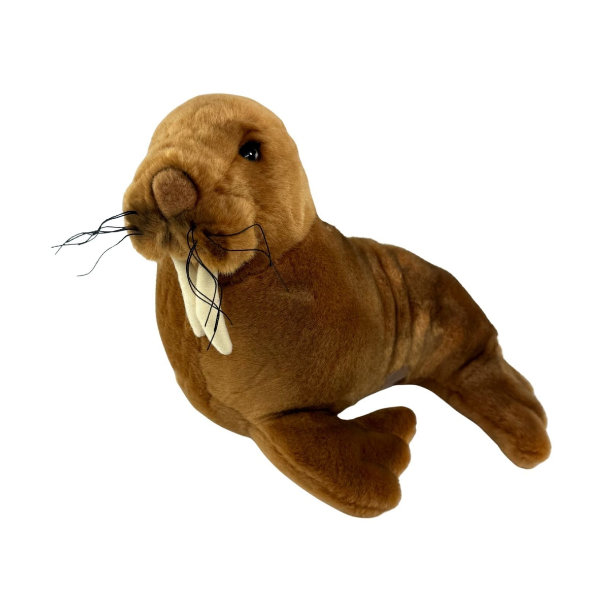 Bocchetta Leopold 26cm Walrus Plush Toy (Realistic Stuffed Animal Sea Life Gift)