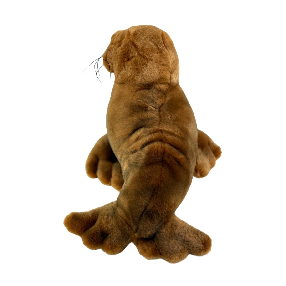Bocchetta Leopold 26cm Walrus Plush Toy (Realistic Stuffed Animal Sea Life Gift)