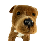Bocchetta Lester 32cm Sitting Staffy Plush Toy - Brown (Realistic Stuffed Animal Dog Gift)