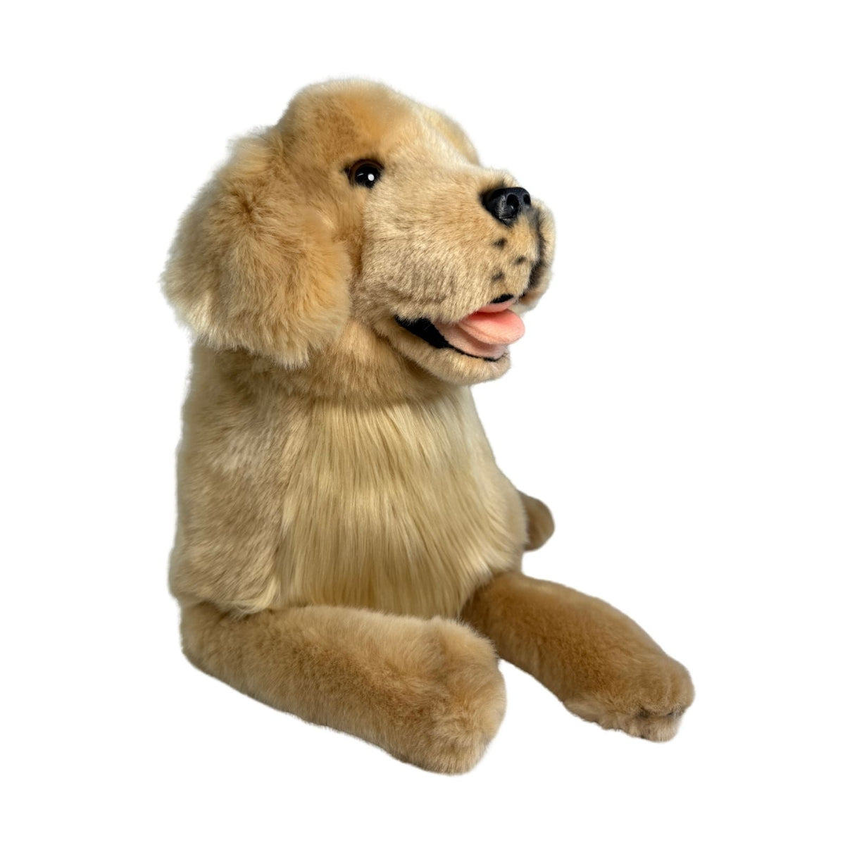 Bocchetta Lucky 50cm Lying Golden Retriever Plush Toy (Realistic Stuffed Animal Dog Gift)