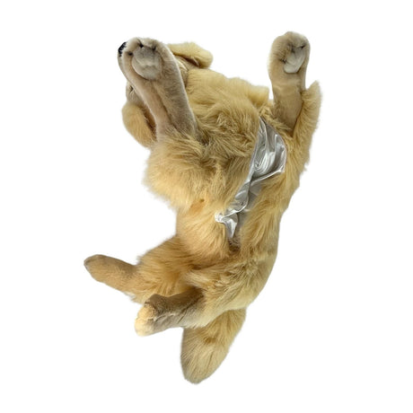 Bocchetta Luna 62cm Lying Golden Retriever with Satin Pocket Plush Toy (Realistic Stuffed Animal Dog Gift)