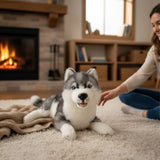 Bocchetta Madison 40cm Lying Husky Plush Toy (Realistic Stuffed Animal Dog Gift)
