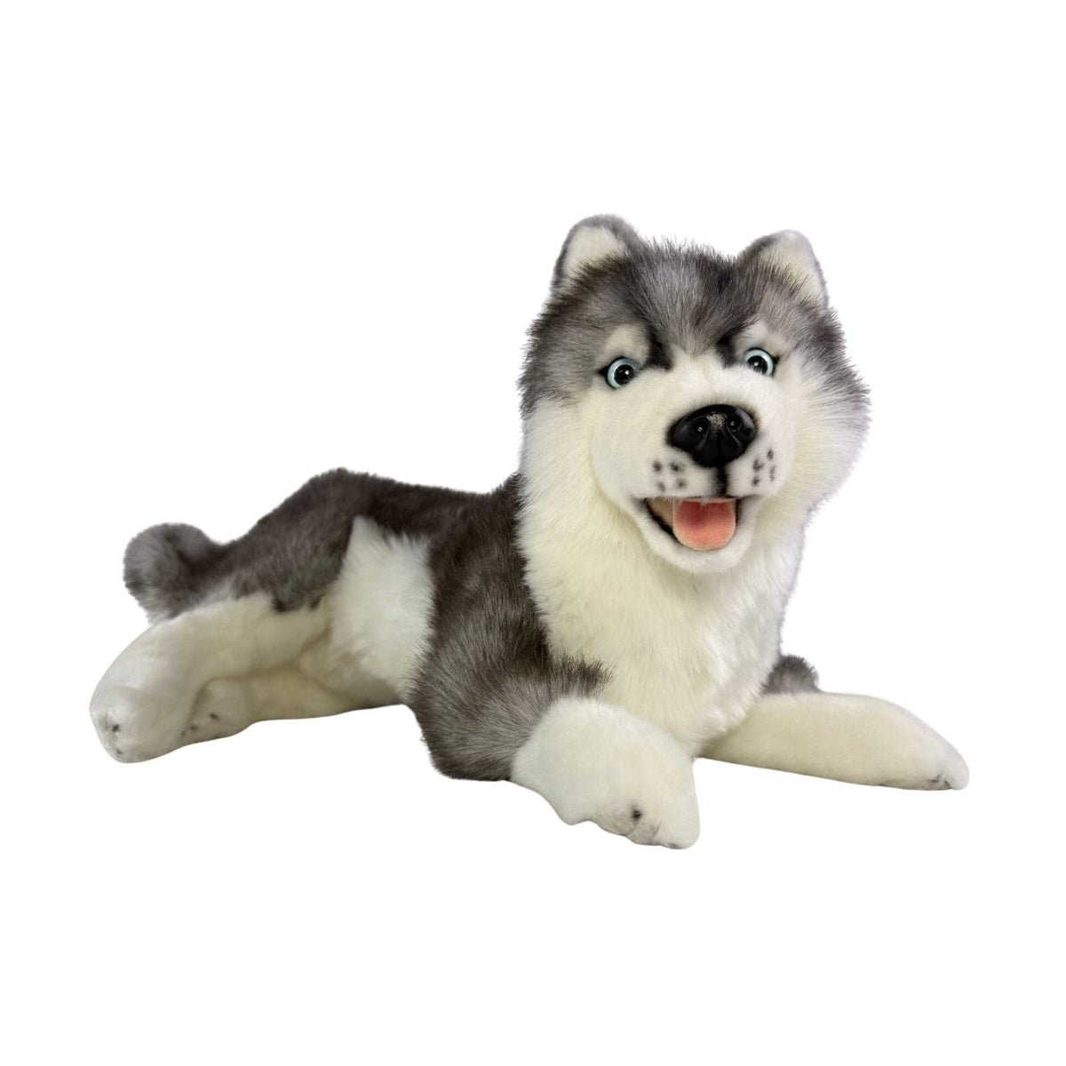 Bocchetta Madison 40cm Lying Husky Plush Toy (Realistic Stuffed Animal Dog Gift)