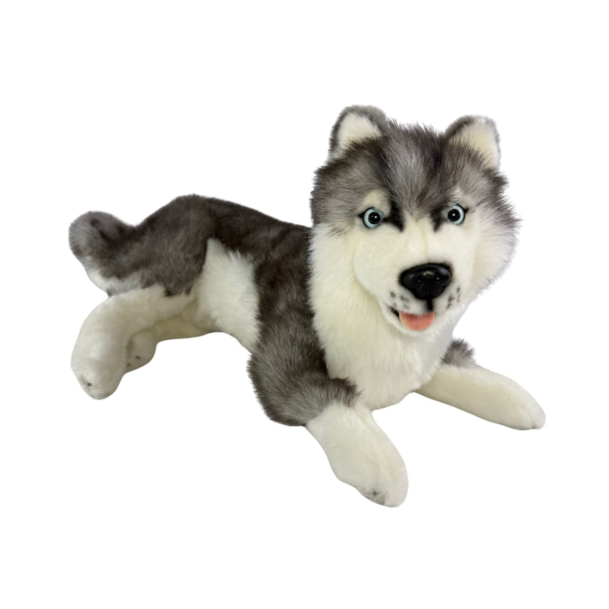 Bocchetta Madison 40cm Lying Husky Plush Toy (Realistic Stuffed Animal Dog Gift)