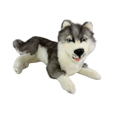 Bocchetta Madison 40cm Lying Husky Plush Toy (Realistic Stuffed Animal Dog Gift)