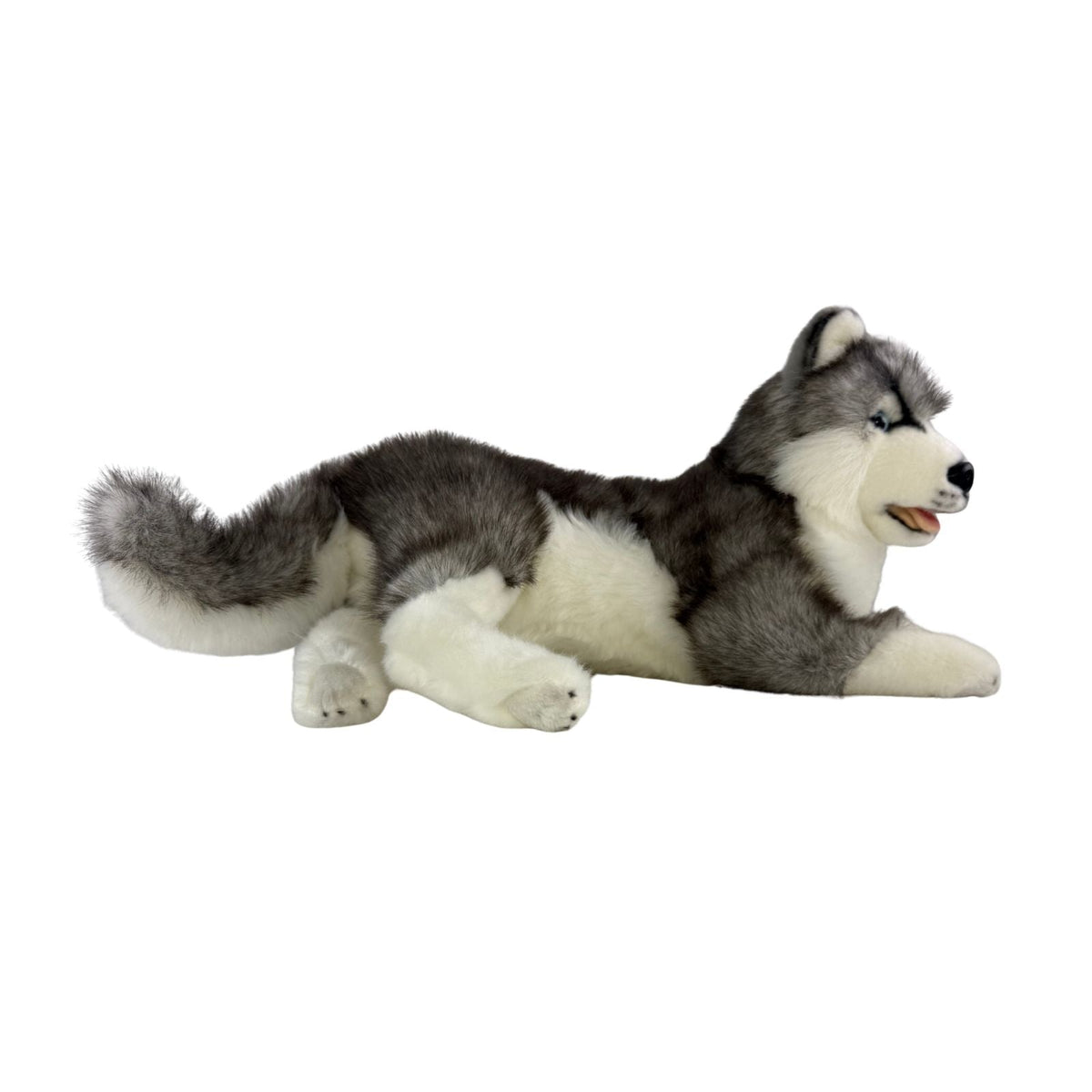 Bocchetta Madison 40cm Lying Husky Plush Toy (Realistic Stuffed Animal Dog Gift)