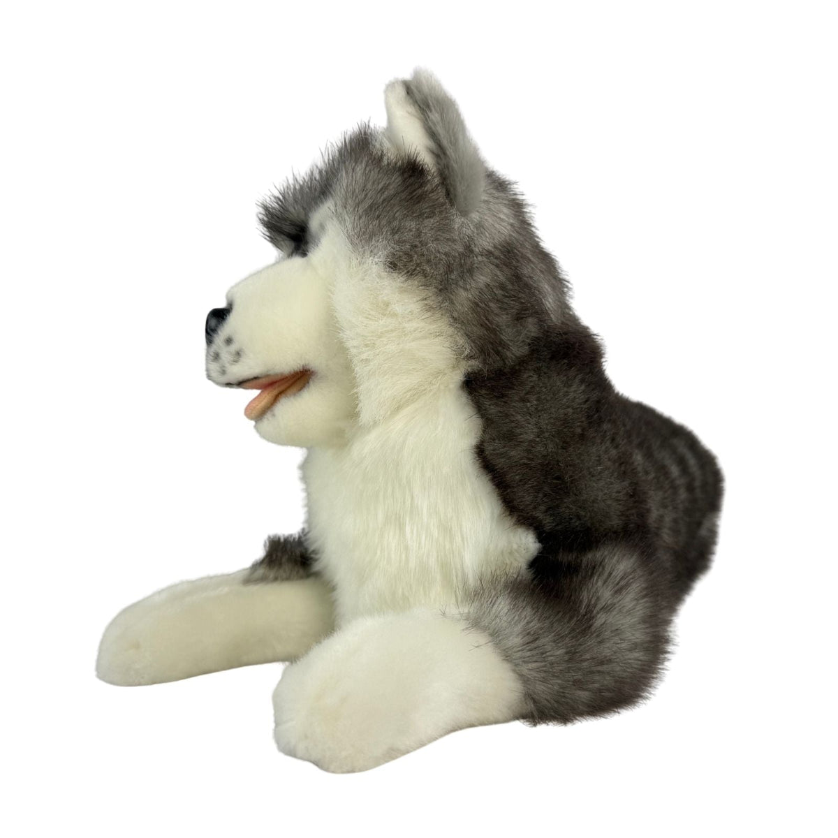 Bocchetta Madison 40cm Lying Husky Plush Toy (Realistic Stuffed Animal Dog Gift)