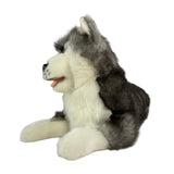 Bocchetta Madison 40cm Lying Husky Plush Toy (Realistic Stuffed Animal Dog Gift)