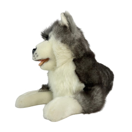 Bocchetta Madison 40cm Lying Husky Plush Toy (Realistic Stuffed Animal Dog Gift)