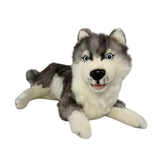 Bocchetta Madison 40cm Lying Husky Plush Toy (Realistic Stuffed Animal Dog Gift)
