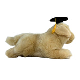 Bocchetta Maple 30cm Lying Graduation Golden Retriever Puppy Plush Toy (Stuffed Animal Dog Grad Gift)