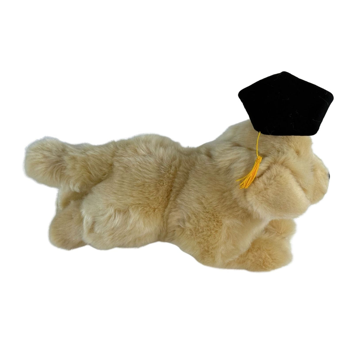 Bocchetta Maple 30cm Lying Graduation Golden Retriever Puppy Plush Toy (Stuffed Animal Dog Grad Gift)