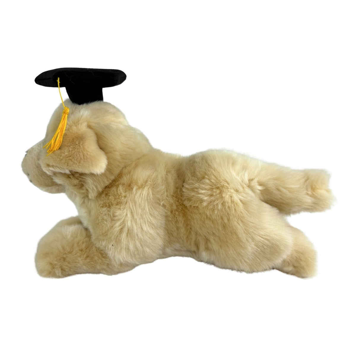 Bocchetta Maple 30cm Lying Graduation Golden Retriever Puppy Plush Toy (Stuffed Animal Dog Grad Gift)