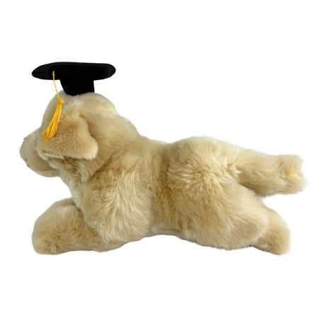 Bocchetta Maple 30cm Lying Graduation Golden Retriever Puppy Plush Toy (Stuffed Animal Dog Grad Gift)