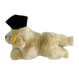 Bocchetta Maple 30cm Lying Graduation Golden Retriever Puppy Plush Toy (Stuffed Animal Dog Grad Gift)