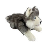Bocchetta Marbles 28cm Floppy Husky Puppy Plush Toy (Realistic Stuffed Animal Dog Gift)