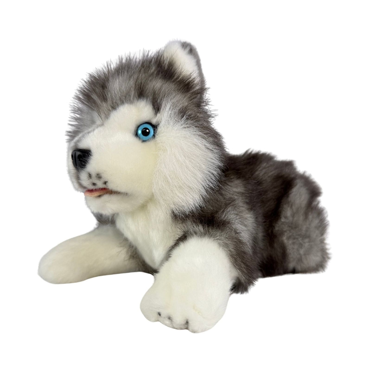 Bocchetta Marbles 28cm Floppy Husky Puppy Plush Toy (Realistic Stuffed Animal Dog Gift)
