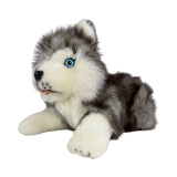 Bocchetta Marbles 28cm Floppy Husky Puppy Plush Toy (Realistic Stuffed Animal Dog Gift)