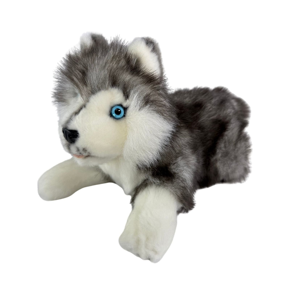 Bocchetta Marbles 28cm Floppy Husky Puppy Plush Toy (Realistic Stuffed Animal Dog Gift)