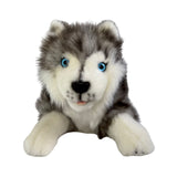 Bocchetta Marbles 28cm Floppy Husky Puppy Plush Toy (Realistic Stuffed Animal Dog Gift)