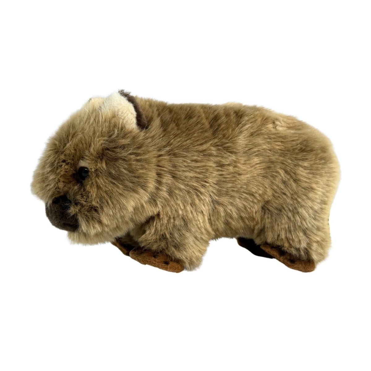 Bocchetta Margherita 24cm Wombat Plush Toy (Australian Stuffed Animal Souvenir Gift)