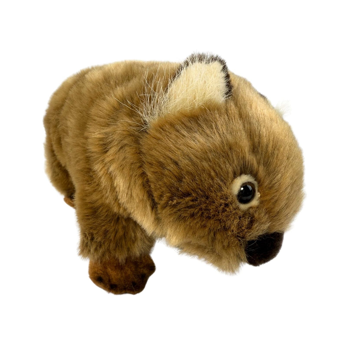 Bocchetta Margherita 24cm Wombat Plush Toy (Australian Stuffed Animal Souvenir Gift)
