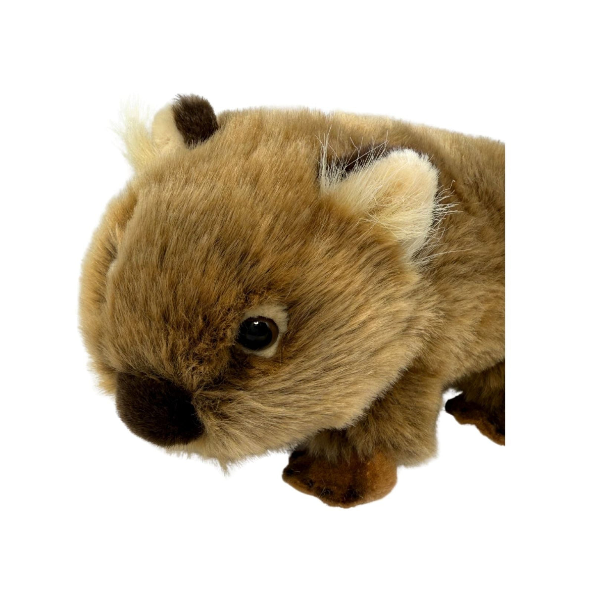Bocchetta Margherita 24cm Wombat Plush Toy (Australian Stuffed Animal Souvenir Gift)