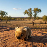 Bocchetta Margherita 24cm Wombat Plush Toy (Australian Stuffed Animal Souvenir Gift)